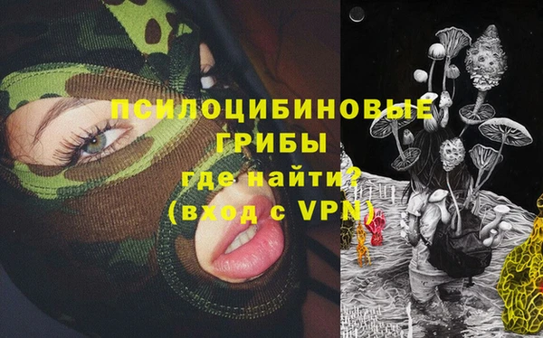 МДПВ Абаза