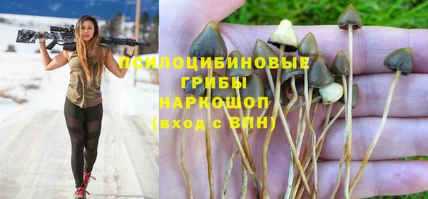 крисы Абинск