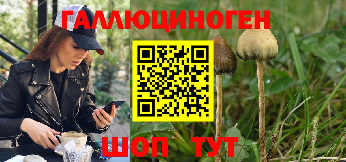 Псилоцибиновые грибы ЛСД  купить   Псилоцибиновые грибы GOLDEN TEACHER  Комсомольск-на-Амуре  Вход с VPN 